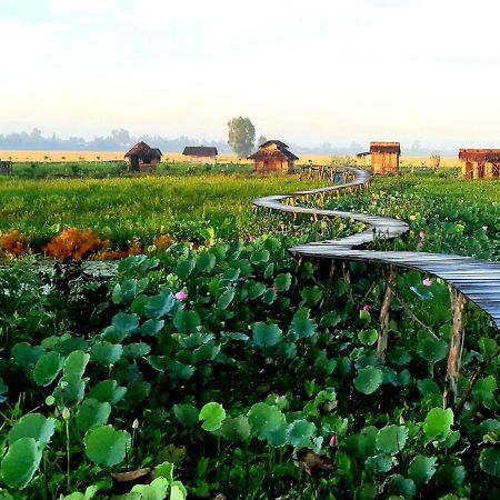 Viet Mekong Farmstay Tram Chim Luaran gambar